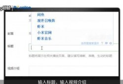 爆料怎么添加视频号,一招轻松打造爆款内容